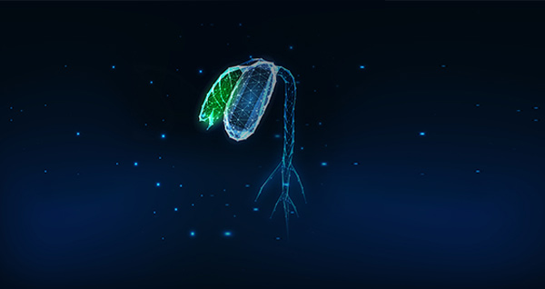生物种业研究应用