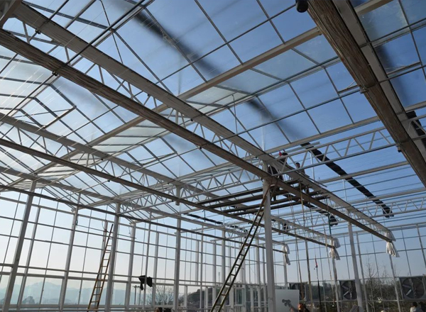 新春走基层 | “金山”上建起智能温室大棚