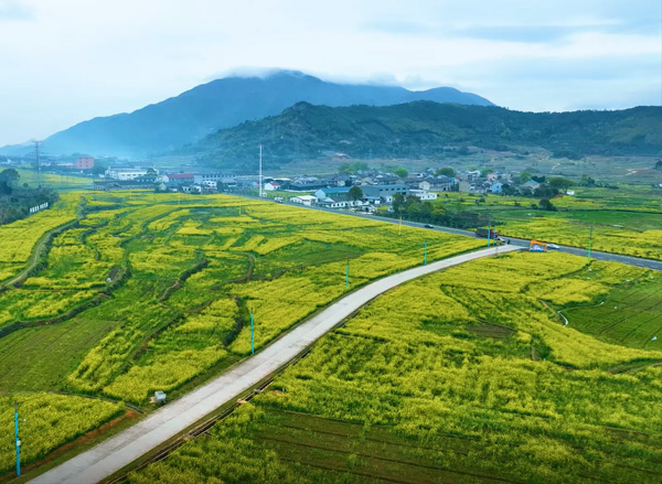 奉化极美乡村雷山青创农村基地
