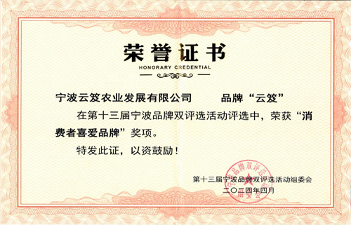 荣誉证书