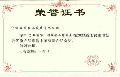 荣誉证书